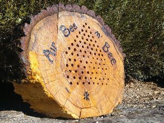 Camping La Romiguiere : 2019 02 12 Airbnb